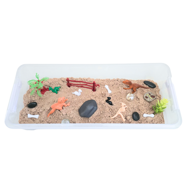 Large Sensory Kit - Dinosaur