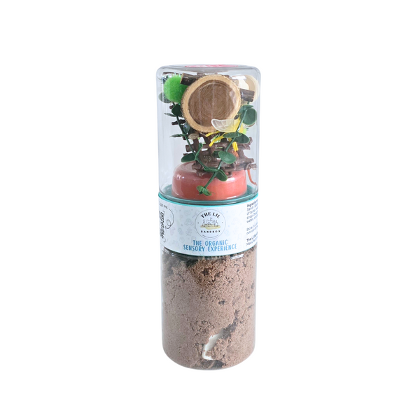 On-the-Go Bug & Garden Sensory Sand Kit