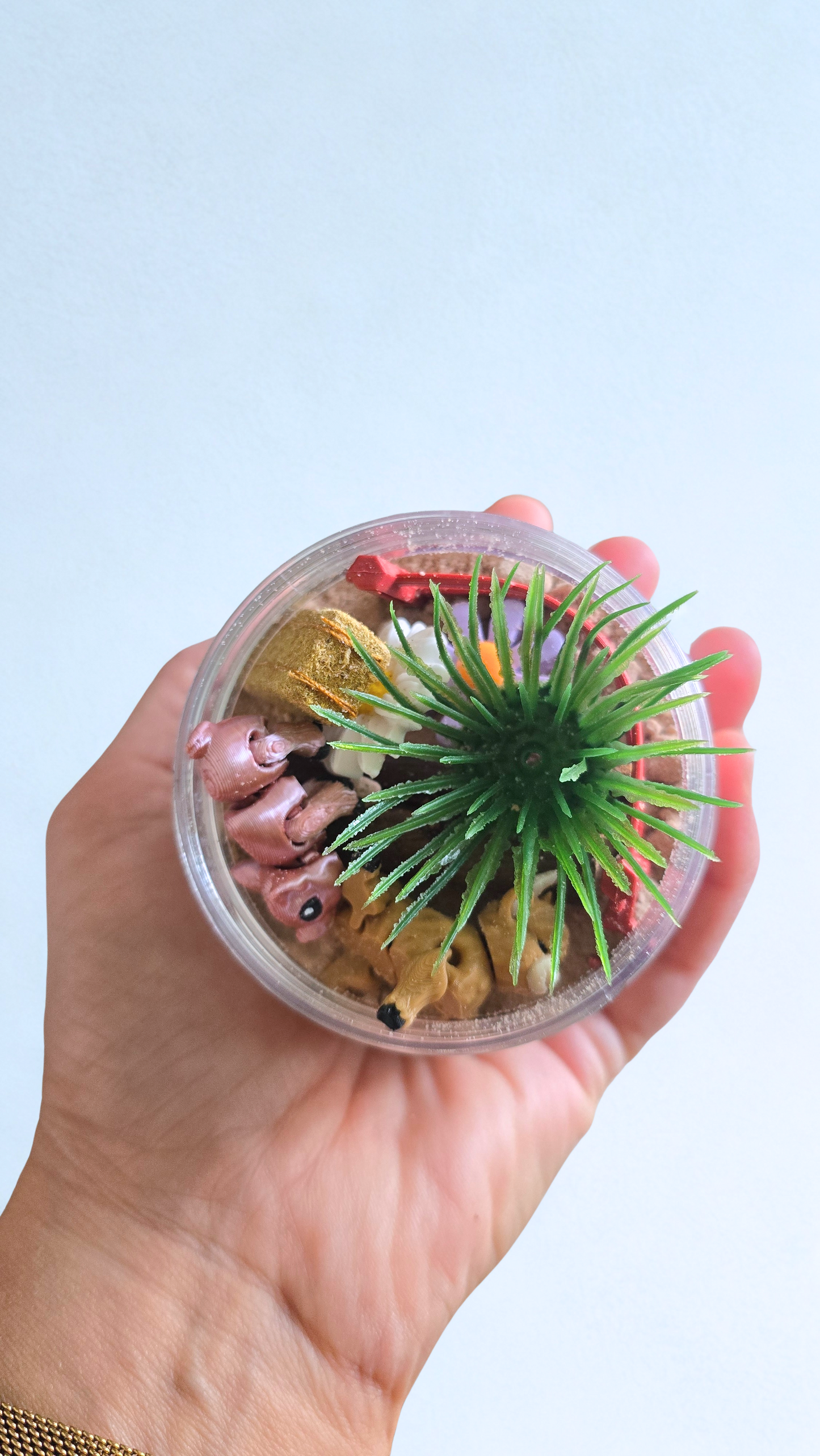 Lil Sandbox Co 8oz Jar Kit