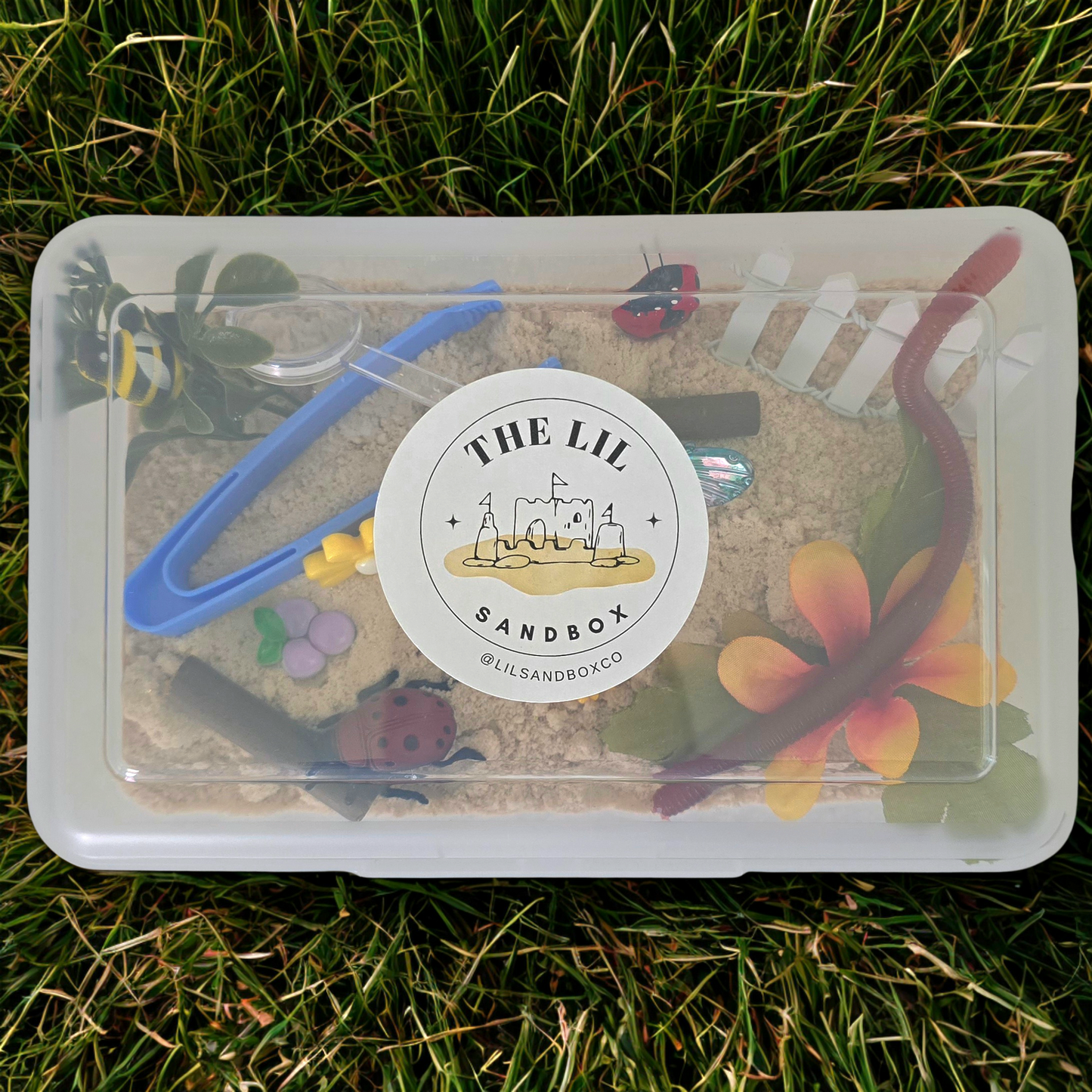 Lil Sandbox Bug Explorer Sensory Sand Box